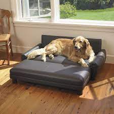 To prevent your dog from dandering all over your couch, you should brush its fur weekly. Leather Dog Bed Ideas On Foter