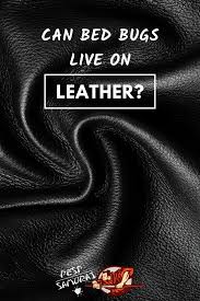 Bed bugs prefer living in a warm place without much disturbance. Can Bed Bugs Live On Leather Bed Bugs Bed Bug Bites Treatment Bed Bug Bites