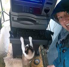 What are bank atm fees? What Weighs 800kg And Runs Windows Xp How To Buy An Atm For Fun And Profit The Register
