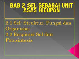 live sains pt3, sn t1 sel unit asas hidupan oleh cikgu hani #03 #tuisyenpercuma. Bab 2 F1 Kssm