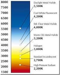 Wb Tutorial By Jill Color Temperature Led Lighting Solutions Modern Light Bulbs