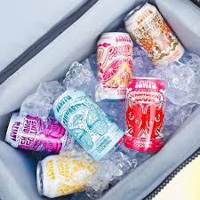 Levity Cocktail Mix & Match (4-Pack ) - holy city farms