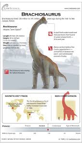 Brachiosaurus Stood Taller Than Most Dinosaurs On Forelegs That Were Longer Than Its Hind Legs Its Long Neck Made It Dinosaur Dinosaur Fossils Brachiosaurus