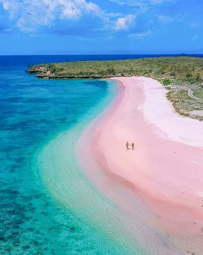 Kenapa pantai Pink Lombok sudah tidak Pink lagi? Masih pink koq, hanya saja  kurang pink.😁 Saya pertama kali ke Pantai Pink (Tangsi) pada tahun 2015,  saat itu jalan turun menuju pantai masih
