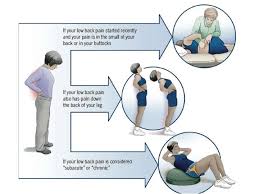 Image result for Low Back Pain Management