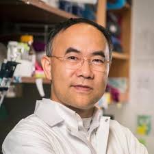 Scholars@Duke publication: Generalized reconstruction of n-D NMR spectra  from multiple projections: application to the 5-D HACACONH spectrum of  protein G B1 domain.