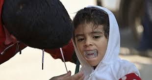 It's just a great community event' City of Evanston's Trunk or Treat has  large turnout