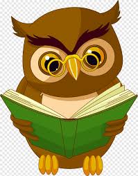 owl animated cartoon drawing animation owl with book brown owl reading book illustraion vertebrate cartoon png pngegg owl animated cartoon drawing animation