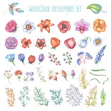 I love to make watercolor greeting cards. Set Of Watercolor Floral Diy Elements Flowers Branches Leaves Stock Photo Picture And Royalty Free Image Image 56723322