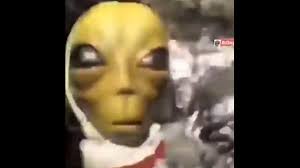 At memesmonkey.com find thousands of memes categorized into thousands of categories. Steam Workshop Alien Meme Song