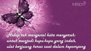 Apakah diantara puisi yang terinsipirasi dari. Kata Kupu Kupu Home Facebook