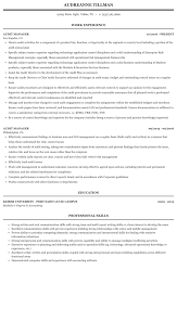 audit manager resume sample mintresume