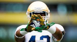 Duranko S Digest Beyond 12 1 What S Next Notre Dame Fighting Irish Football Notre Dame Football Irish Football
