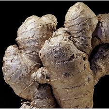 We did not find results for: Ginger Growing And Harvest Information Veggieharvest Com