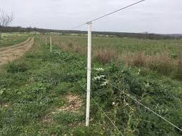 Electric fencing can be one of the wisest and safest decisions you make. Electric Fencing For Livestock Economical Effective The Pastoralist