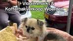 ✨Vlooienmarkt & Kofferbakverkoop Woerden✨ Leuke ... - TikTok