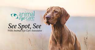 We will make every reasonable effort to ascertain the. Virginia North Carolina South Carolina Pet Eye Care Animal Eye Care