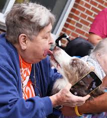 Brockton: Flying High Dogs perform at Alliance Health at West Acres