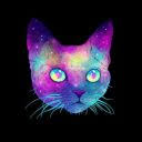 Cat wallpaper download free desktop cat wallpapers hd. Funny World Of Cats Memes And Mobile Wallpapers