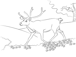Weihnachten malvorlagen im app store. Malvorlagen Rudolph Rentier Ausdrucken Ausmalbilder Rudolf Rentier Malvorlagen Und Malvorlagen Fur Kinder Tragen Dabei Massgeblich Zu Einer Effektiven Forderung Der Kreativitat Unserer Jungsten Bei Reihanhijab