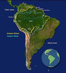 Maybe you would like to learn more about one of these? Amazon Rainforest Drishti Ias