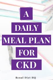 Daily Meal Plan For Chronic Kidney Disease Renal Diet Menu Headquarters Renal Diet Menu Kidney Disease Diet Recipes Kidney Disease Recipes
