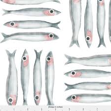 Anchovies Fabric Anchovies By Marmalademoon Watercolor Illustrazioni Disegni Cibo E Vino
