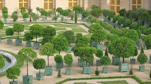 France, pays de dombes, 1762. L Orangerie Du Chateau De Versailles Original Chateau De Versailles Planters By Jardins Du Roi Soleil These Planters Mobilier Jardin Jardin Du Roi Jardins