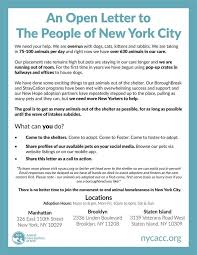 Manhattan animal care center 326 east 110th street. Animal Care Centers Of Nyc Overrun With Animals Issues Open Letter Asking Public For Help