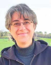 Les urnes decideixen