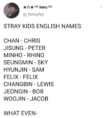 Straykids Crazy Kids Kid Memes Funny Kpop Memes