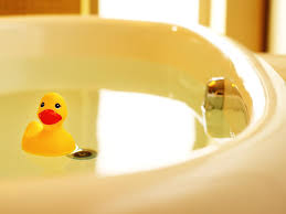 Baby's duck, dragonflies,frogs gingham trim wallpaper. Rubber Ducky Wallpapers Wallpaper Cave