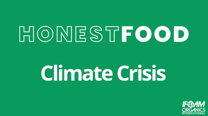 Policymakers and scientists largely agree that to slow the impact of the climate crisis we need a rapid transition from polluting fossil fuels like coal, oil, and gas to cleaner sources of energy, such as wind. Honest Food 2021 Climate Crisis Youtube