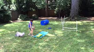 Backyards give your dog an opportunity to get outside and unwind. Backyard Dog Obstacle Course Youtube