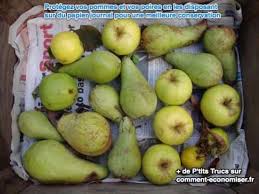 Des Pommes Et Des Poires Sont Entreposees Sur Du Papier Journal Conservation Pommes Poire Pomme