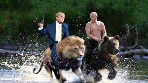 The original picture is oh him riding a horse and they photo shopped that into him riding a bear. Putin Tramp Fotozhaba By Blackangel1112 On Deviantart