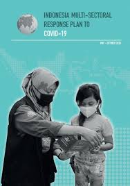 Indonesia coronavirus update with statistics and graphs: Unsdg Indonesia Multi Sectoral Response Plan To Covid 19