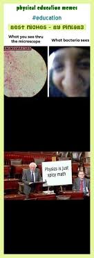 Physical Education Memes Physical Education Memes Sportunterricht Meme Memes D E In 2020 Physical Education Lessons Physical Education Activities Education Poster