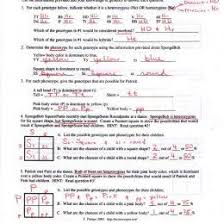 Types of chemical bonds worksheets answer key. Monohybrid Cross Example Problems Top 16 Numerical Problems On Monohybrid Cross