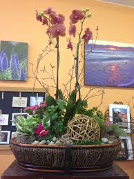 blissful garden orchid plant gift basket