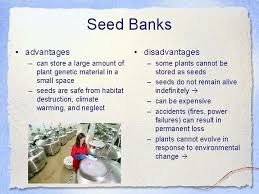 Seeds are stored under low temperatures that keep seeds dormant till they are needed for replanting. Wildlife Conservation And Management Concepts That Guide Conservation