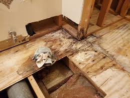 Actual costs will depend on job size, conditions, and options. Subfloor Replacement Under Wall Do I Really Have To
