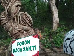 Jun 07, 2021 · penerimaan peserta didik baru (ppdb) dki jakarta tahun ajaran 2021/2022 dibuka mulai, senin (7/6/2021). Keajaiban Pohon Raga Sakti Penjaga Situs Keramat Cirebon Regional Liputan6 Com