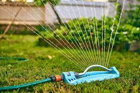 Wir zeigen dir, wie es einfach und zuverlässig funktioniert. 5 Tipps Zur Gartenbewasserung