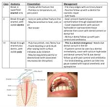 Image result for Tooth Fracture