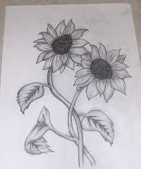 Sunflower pencil drawing is one regarding the oldest modes of fine art, which plays a vital role within creating the various other models of art such since normal water colour and essential oil piece of art. Sunflower Pencil Drawing Sunflower Drawing Pencil Drawings Drawings
