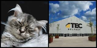 Visit nashville exotic pet expo our 2019 expos had a record number of vendors and thousands of happy guests coming through the doors. Northern Ireland S Biggest Pet Expo Is Happening In Belfast This Weekend