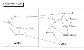 Environmental Biology Sequence Ecosystems