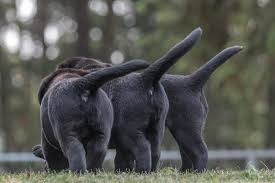 You can close in on a specific neighbourhood or area by simply drawing around it with the polygon or radius tools. Home