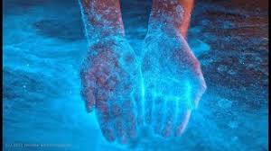 Ga niet met de auto naar het. Sea Sparkle Lights Up Beaches Of South Holland Dutchreview